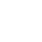 Vector